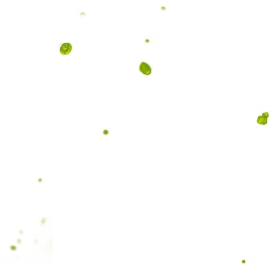 spots 2 - Bar Specialist Liquido